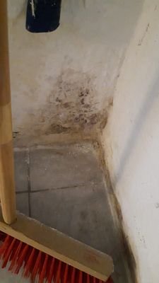 whatsapp bild 2025 05 26 um 22.38.22 82fa5a37